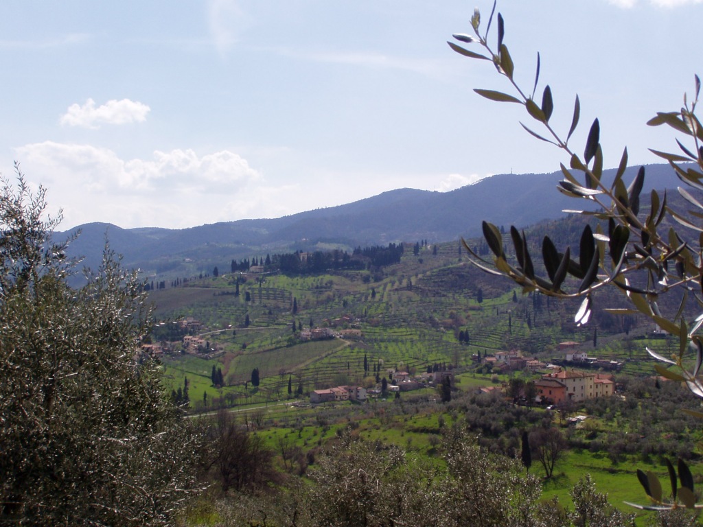 panorama3